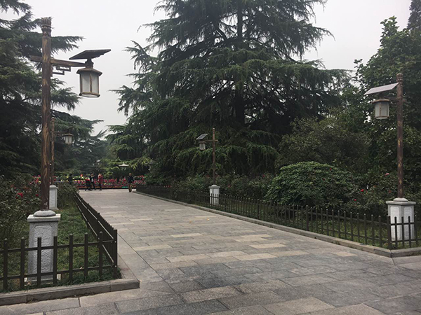 源码太阳能路灯，太阳能路灯厂家，太阳能路灯价格