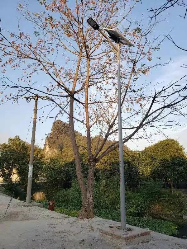 照亮农村幸福路！源码携手建设柳州“村屯光亮工程