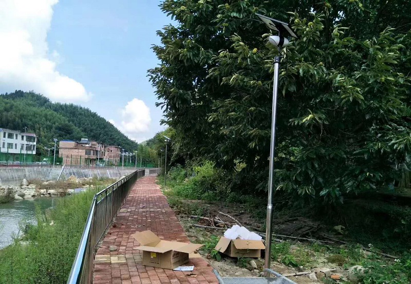城市照明升级：太阳能路灯的可行性与效果