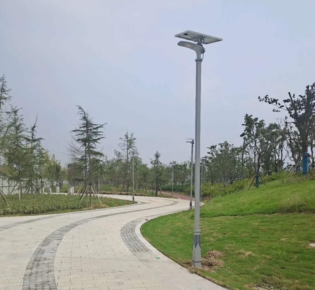 晴空排云雁高飞，源码项目掀热潮