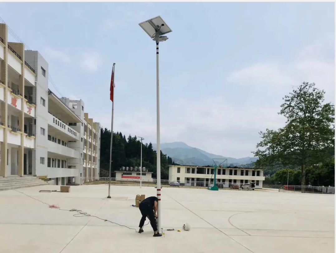 晴空排云雁高飞，源码项目掀热潮