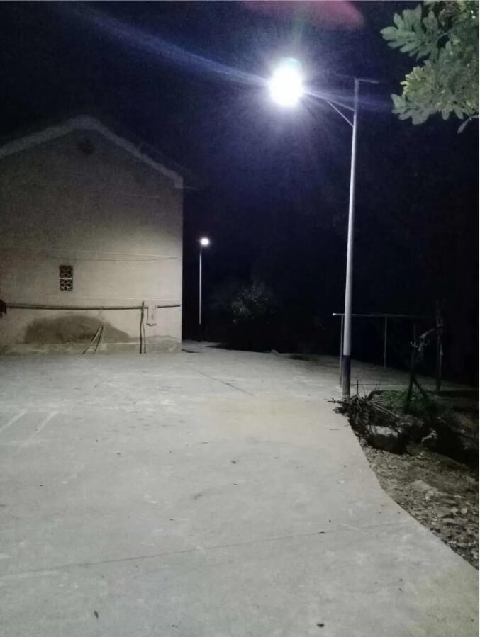 晴空排云雁高飞，源码项目掀热潮