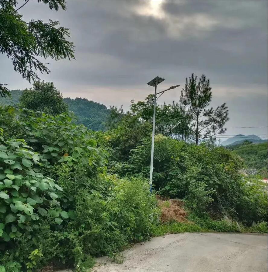 晴空排云雁高飞，源码项目掀热潮