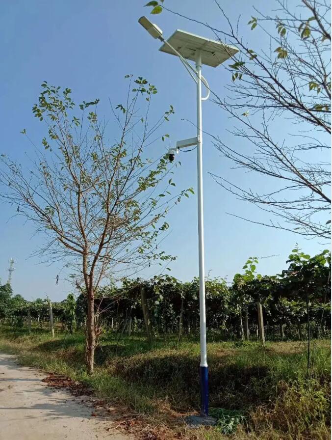 晴空排云雁高飞，源码项目掀热潮