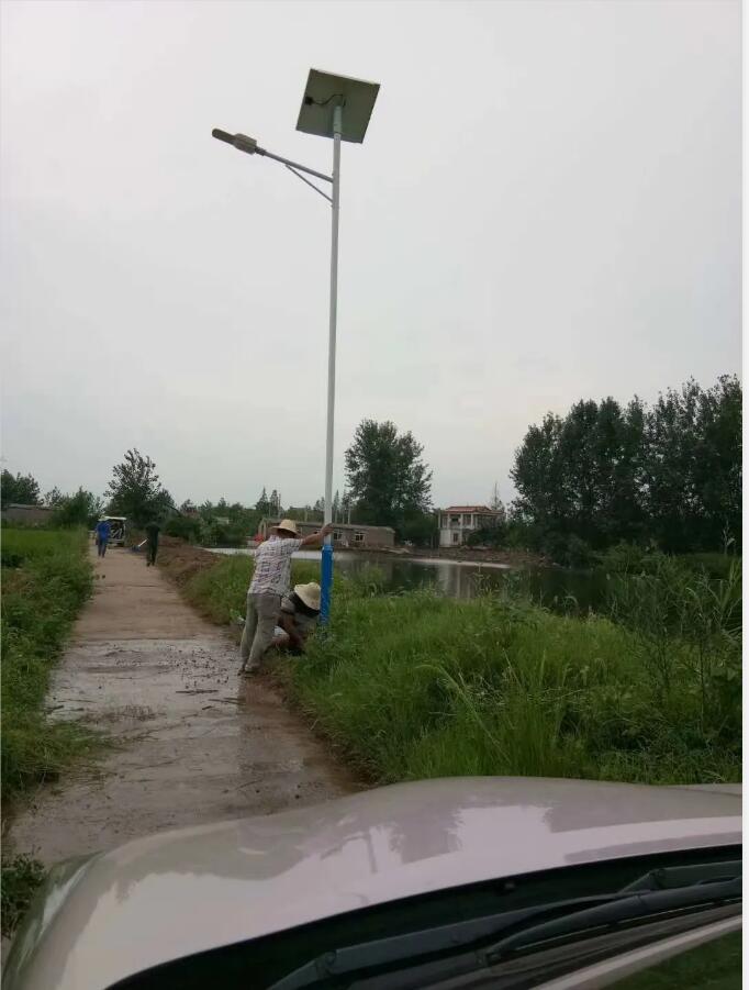 晴空排云雁高飞，源码项目掀热潮