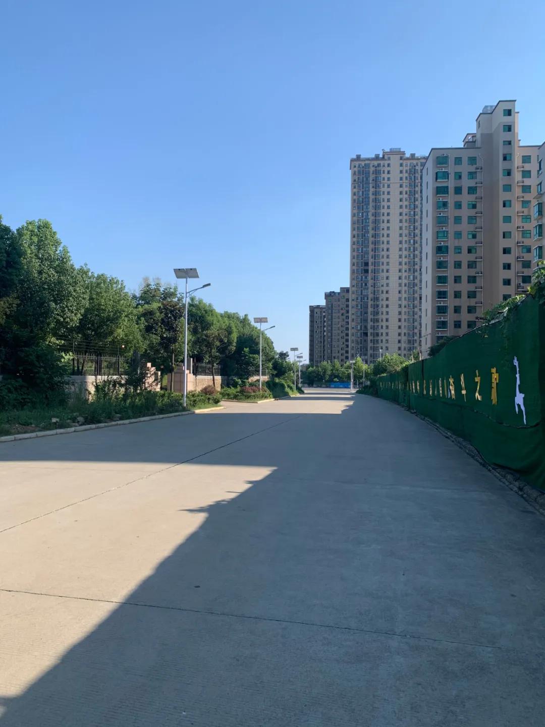 云鹏灯〡九万里风安税驾，云鹏今悔不卑飞