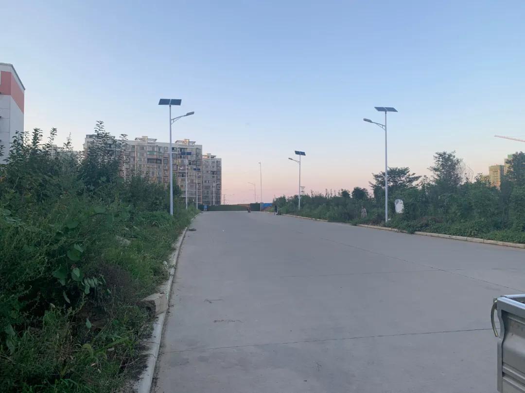 云鹏灯〡九万里风安税驾，云鹏今悔不卑飞